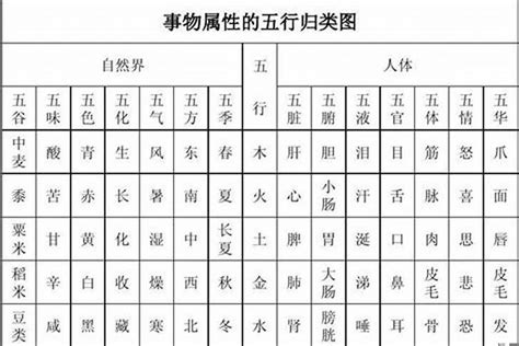 芯字五行|芯字的五行属性是什么